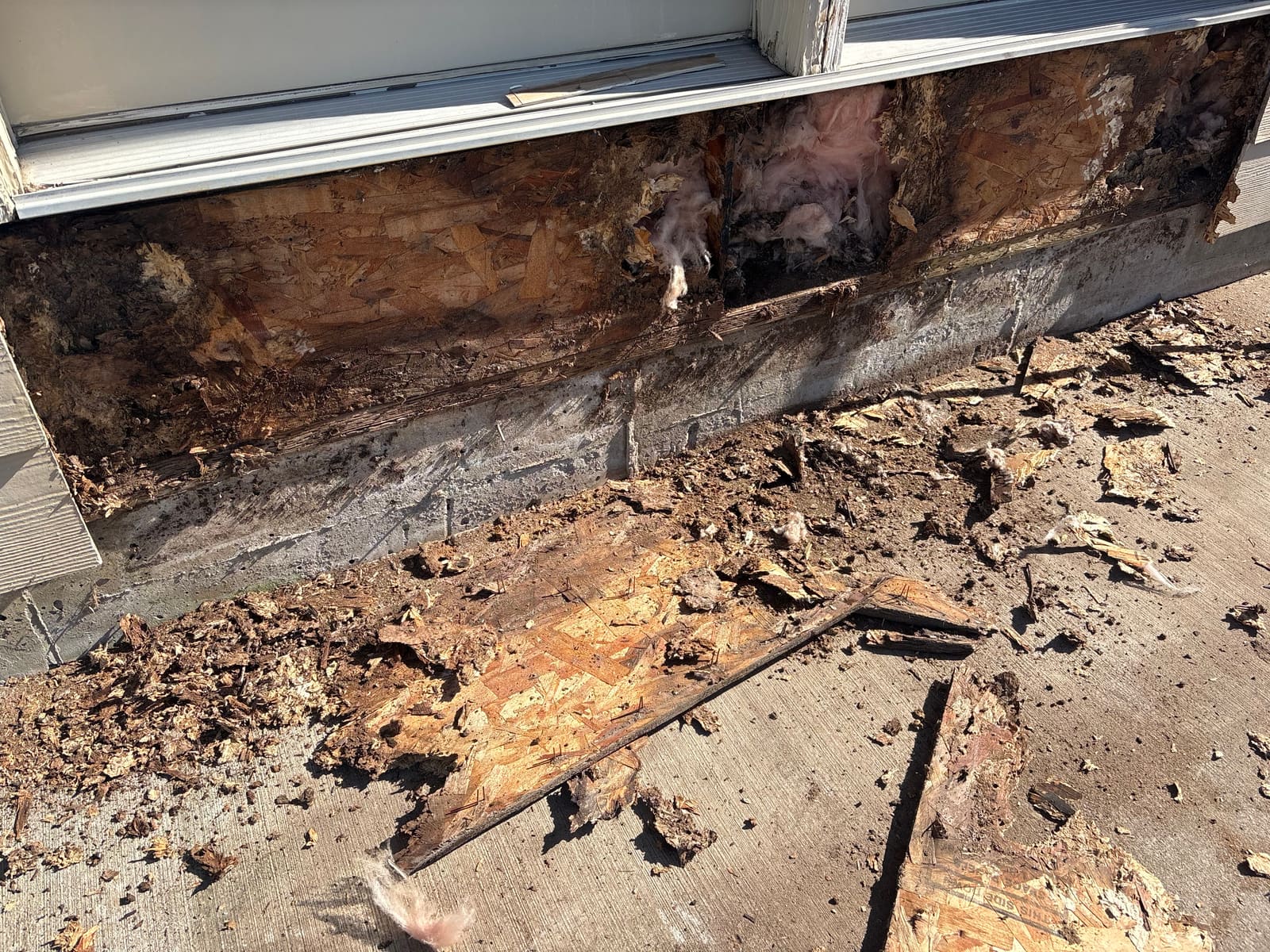 Rotted sheathing and framing found behind an exterior staircase