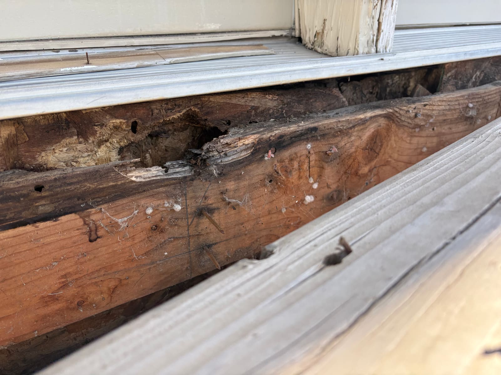 Close-up of rotted rim framing at the door threshold
