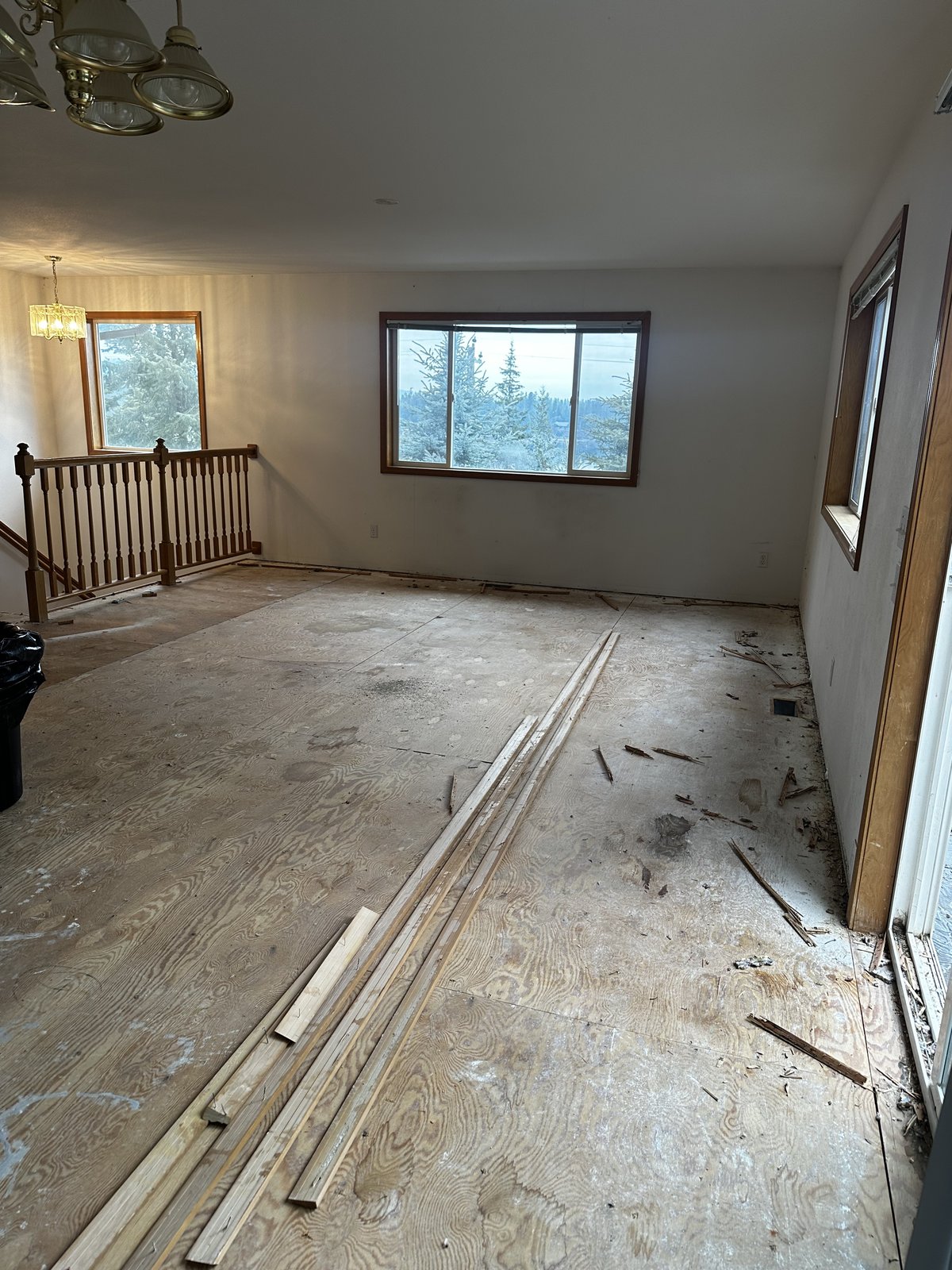 Living room before remodel